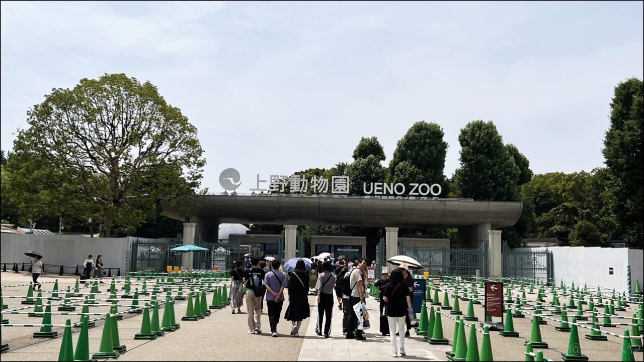 上野動物園で並ばないためにオンラインチケットを購入をして簡単入園