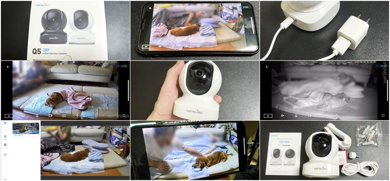 犬の介護での見守りカメラのレビュー!別の部屋でも見ることができるので安心&便利!介護の疲れを減らすことができます!【クチコミ】