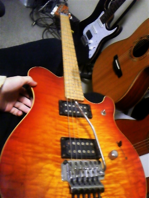 EVH MUSIC MAN Signature Guitar PU SET ヴァンヘイレン ギター PUセット ピックアップ Ernie Ball MusicMan Dimarzio EVH humbucker